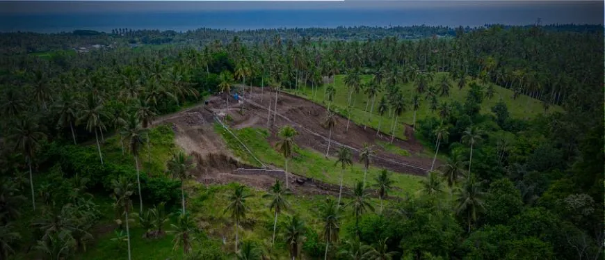 Cleared hillside plot surrounded by palm trees