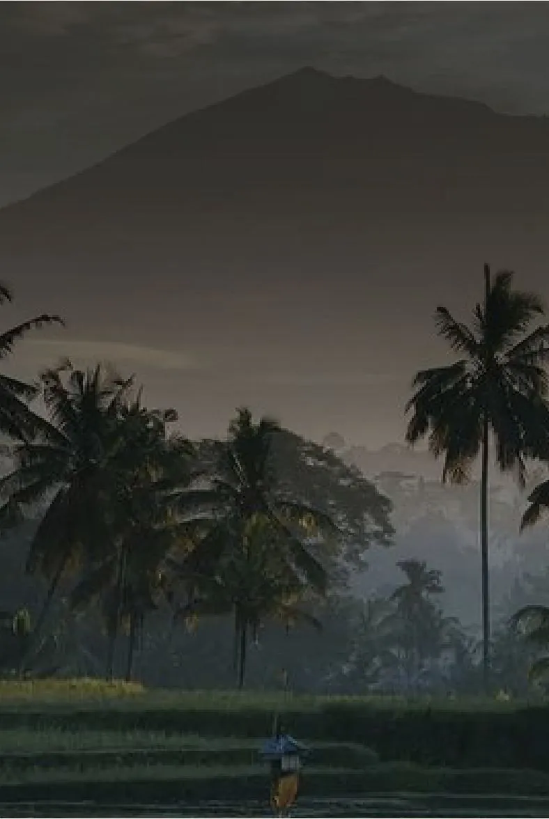 Volcano and palm trees in Bali at dawn
