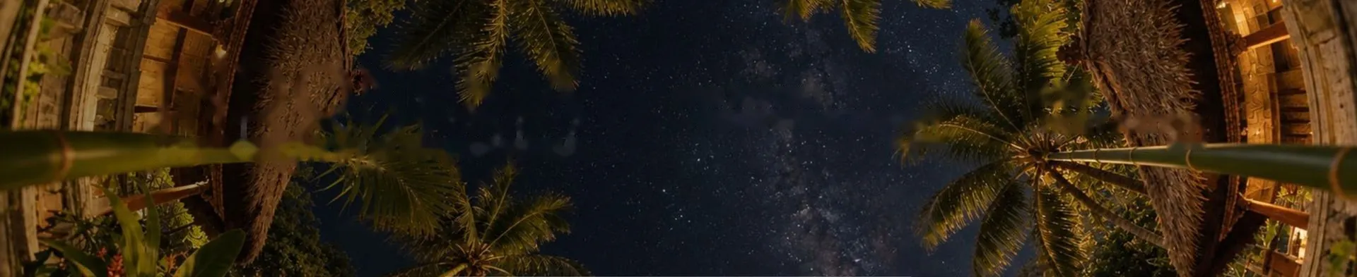 Palm trees and thatched roofs under a starry night sky