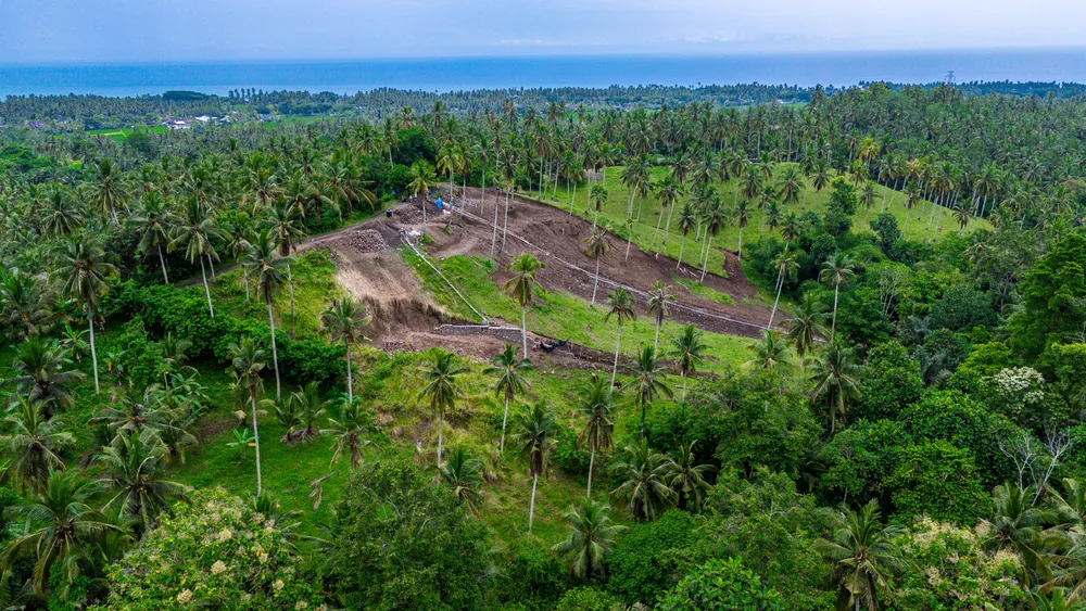 Aerial view of a cleared plot among palm forest