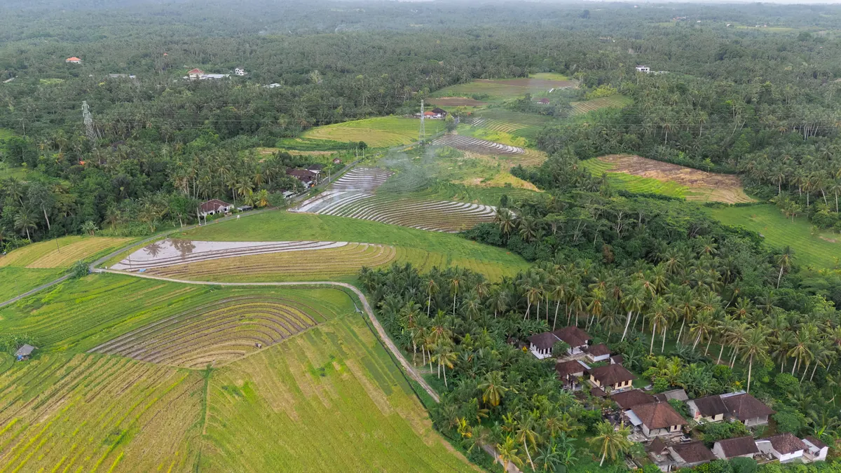 Aerial view of protected rice fields
